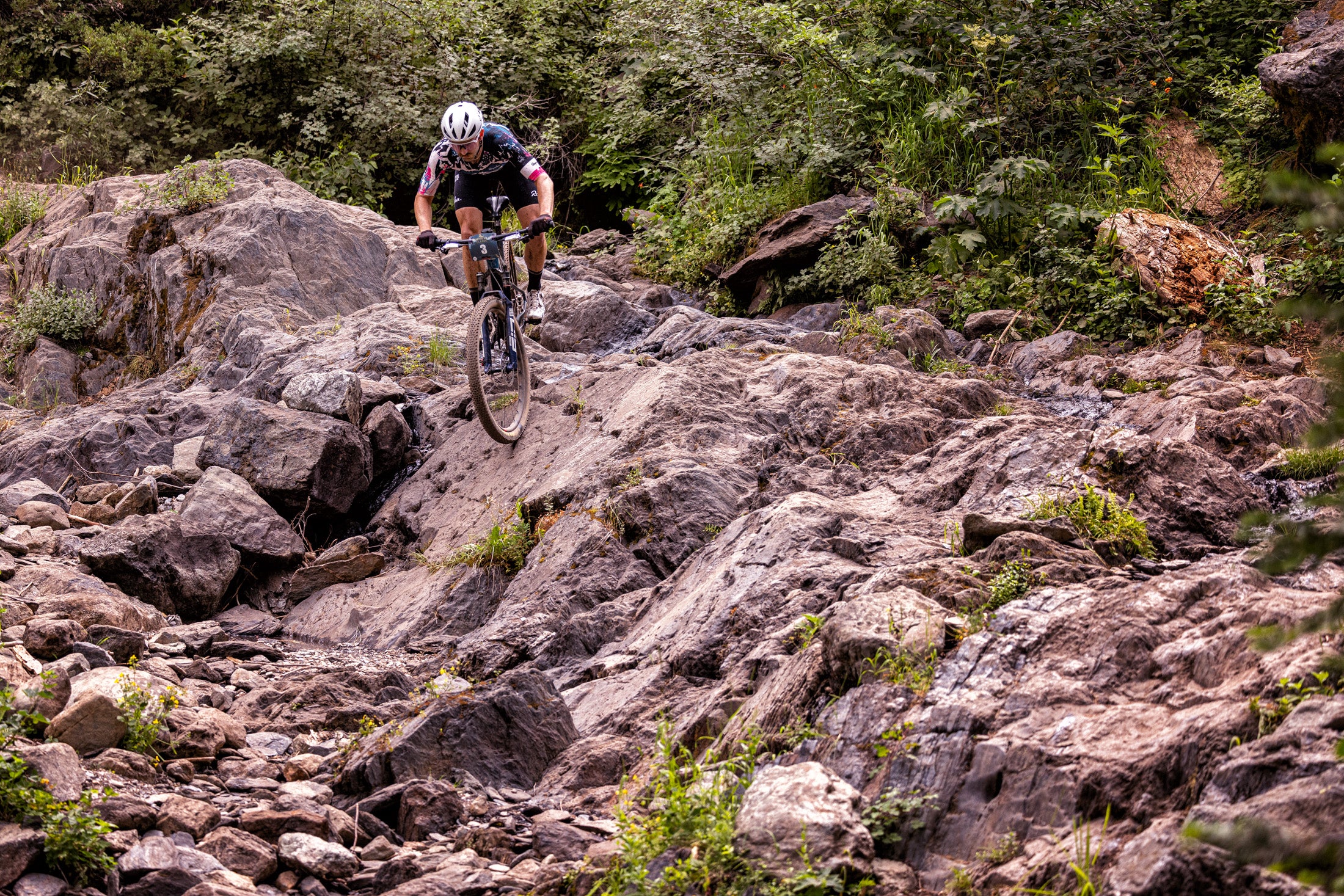 DownievilleClassic DH