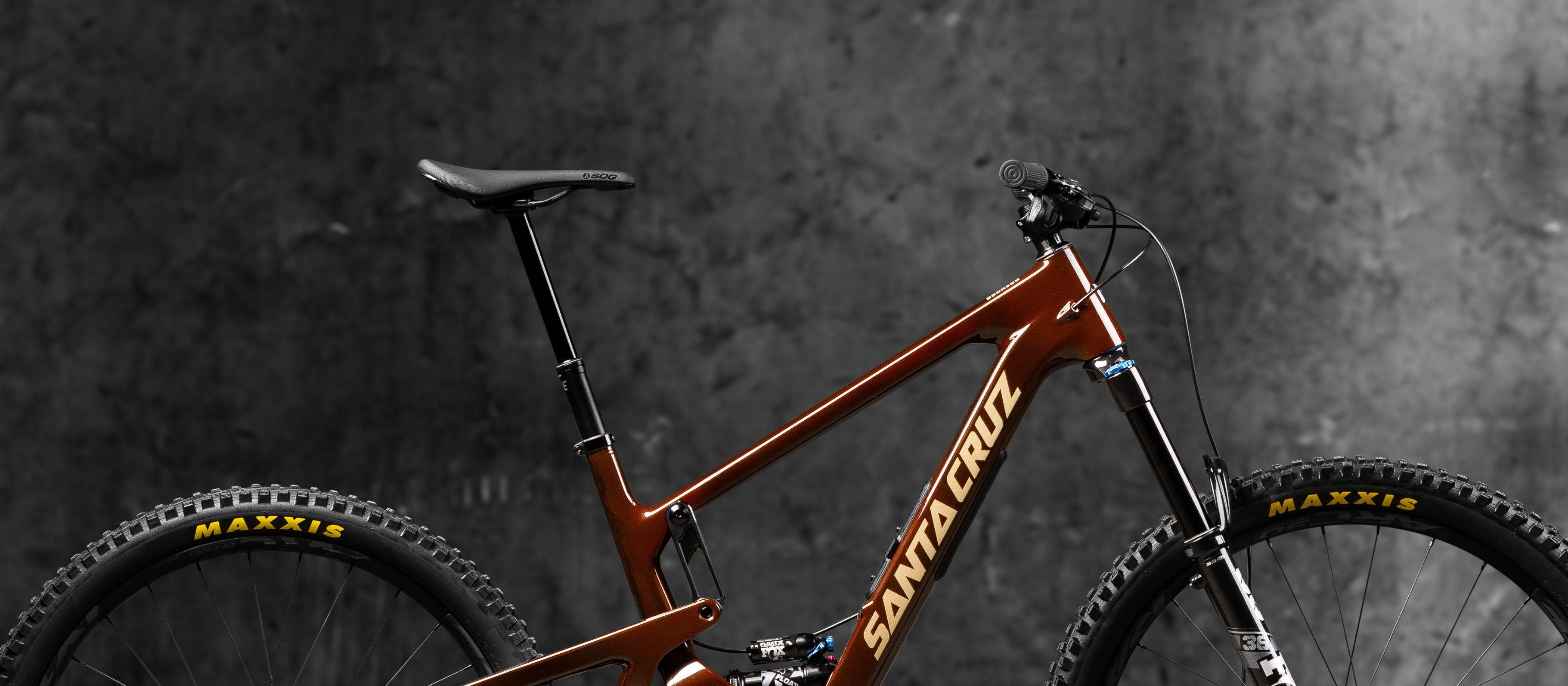 MY25 Bronson Rootbeer Profile Desktop