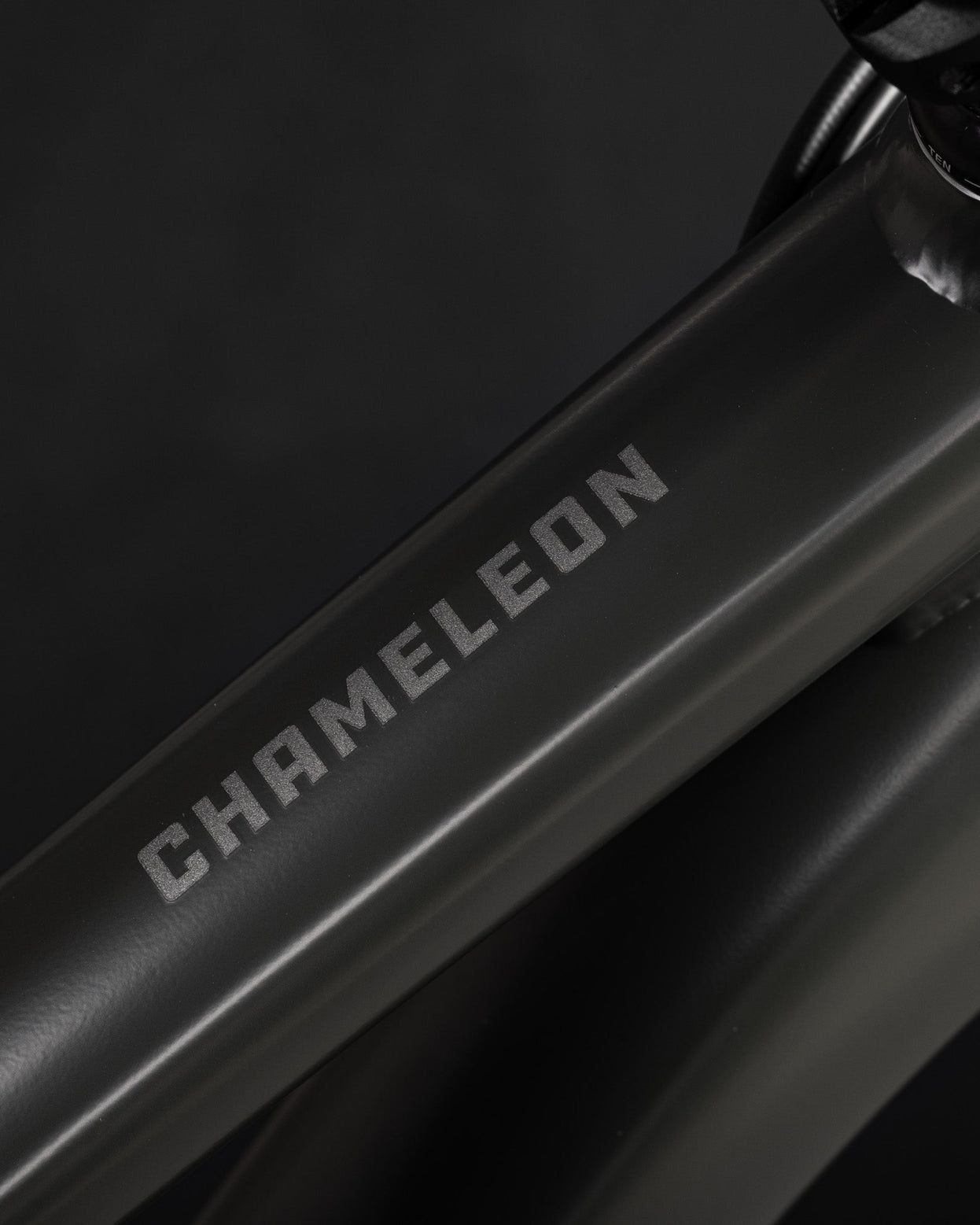 Design details of MY25 Chameleon Details