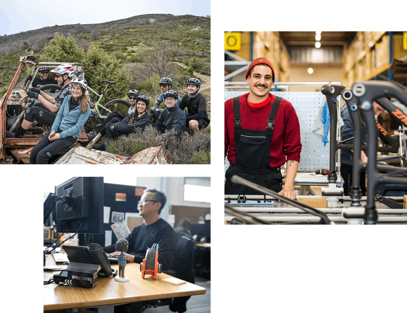 Santa Cruz Global Presence