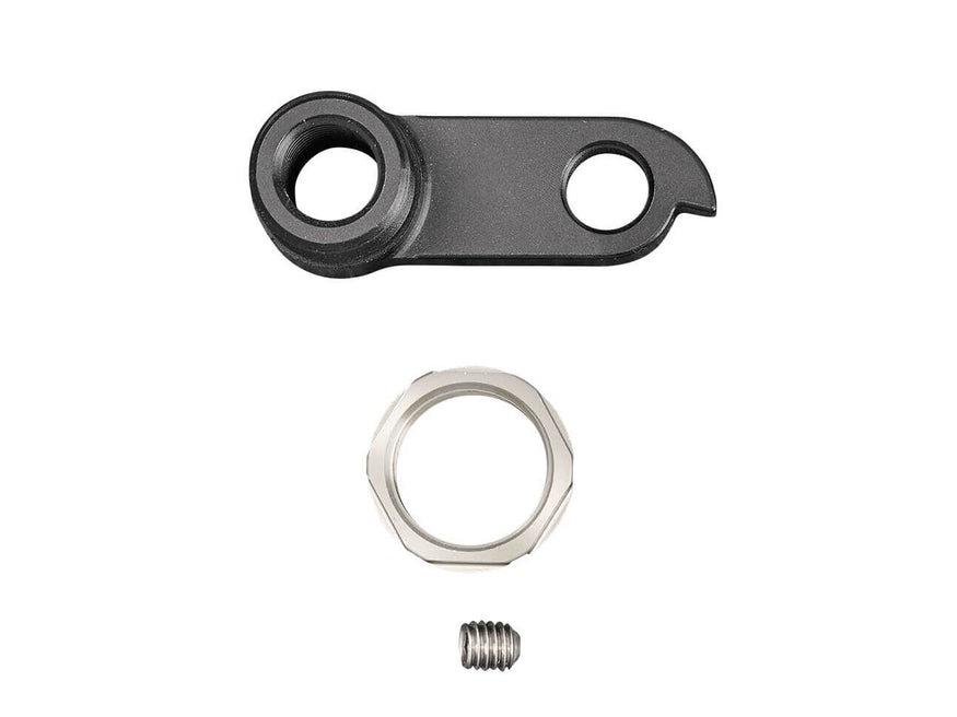 Derailleur Hanger Kit Driver 8 | V10.4