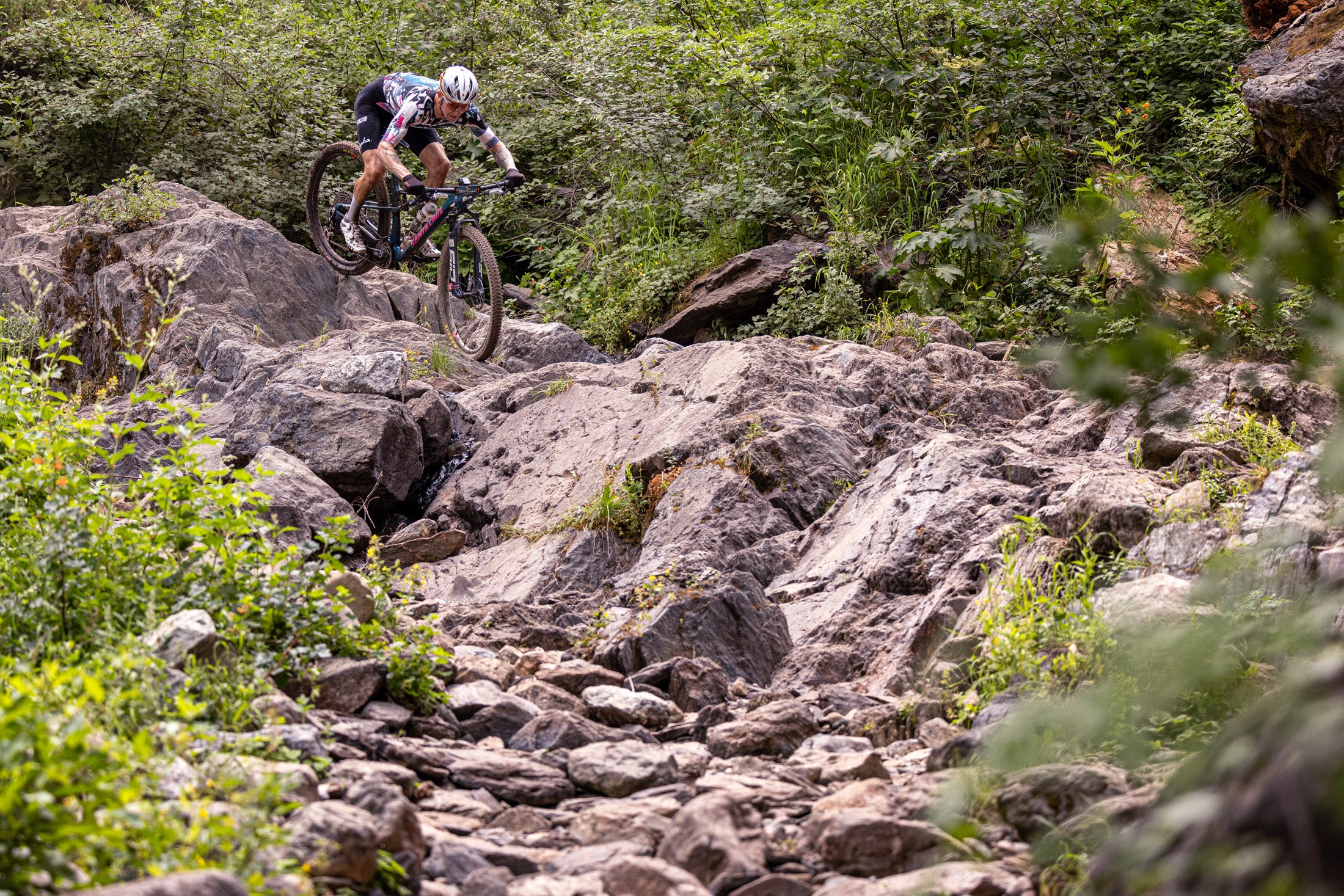 DownievilleClassic DH