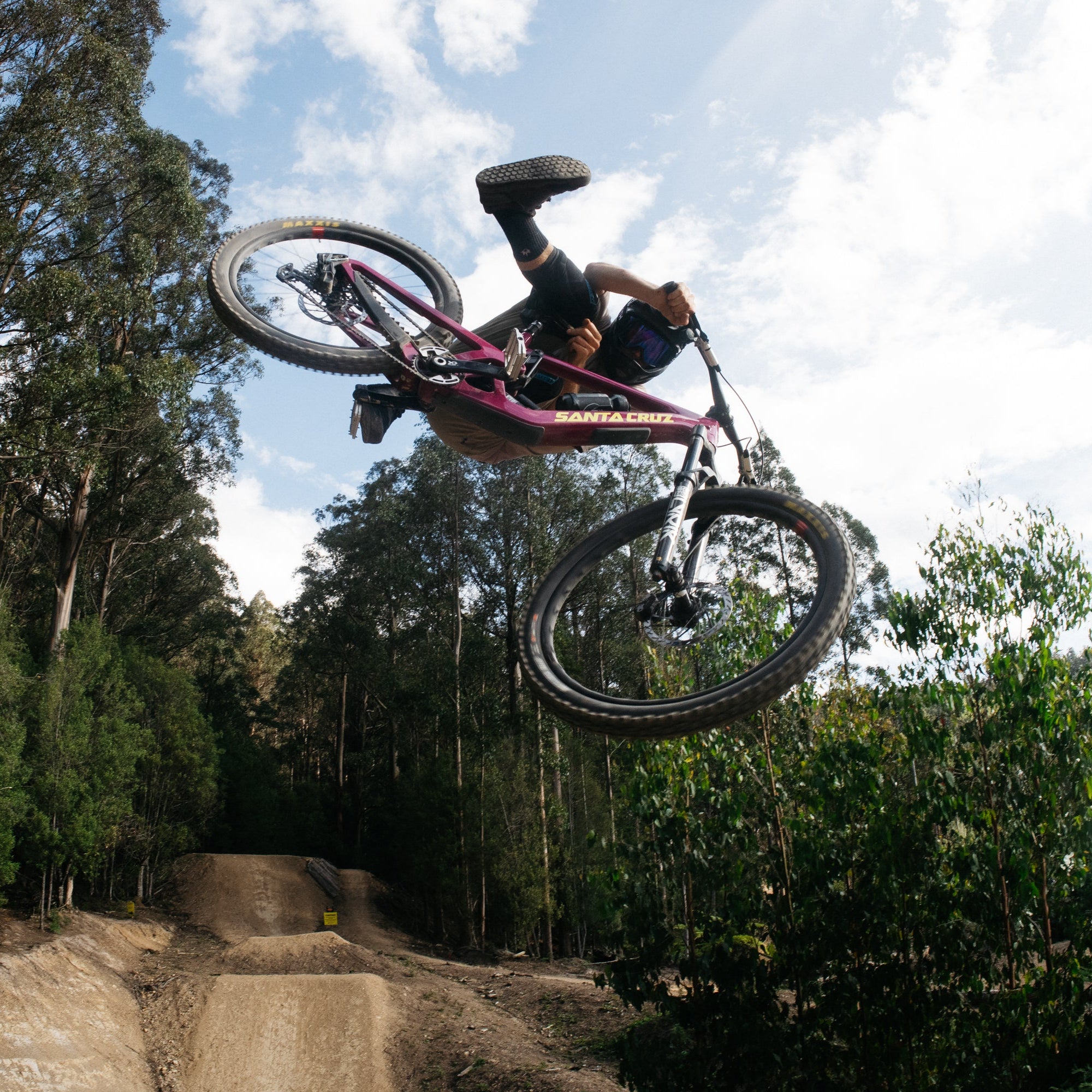 Person on a bicycle performing a jump in a forested area