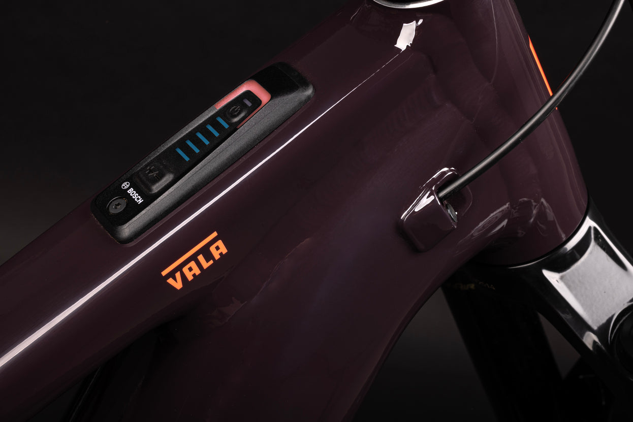 The Santa Cruz Bicycles Vala eMTB