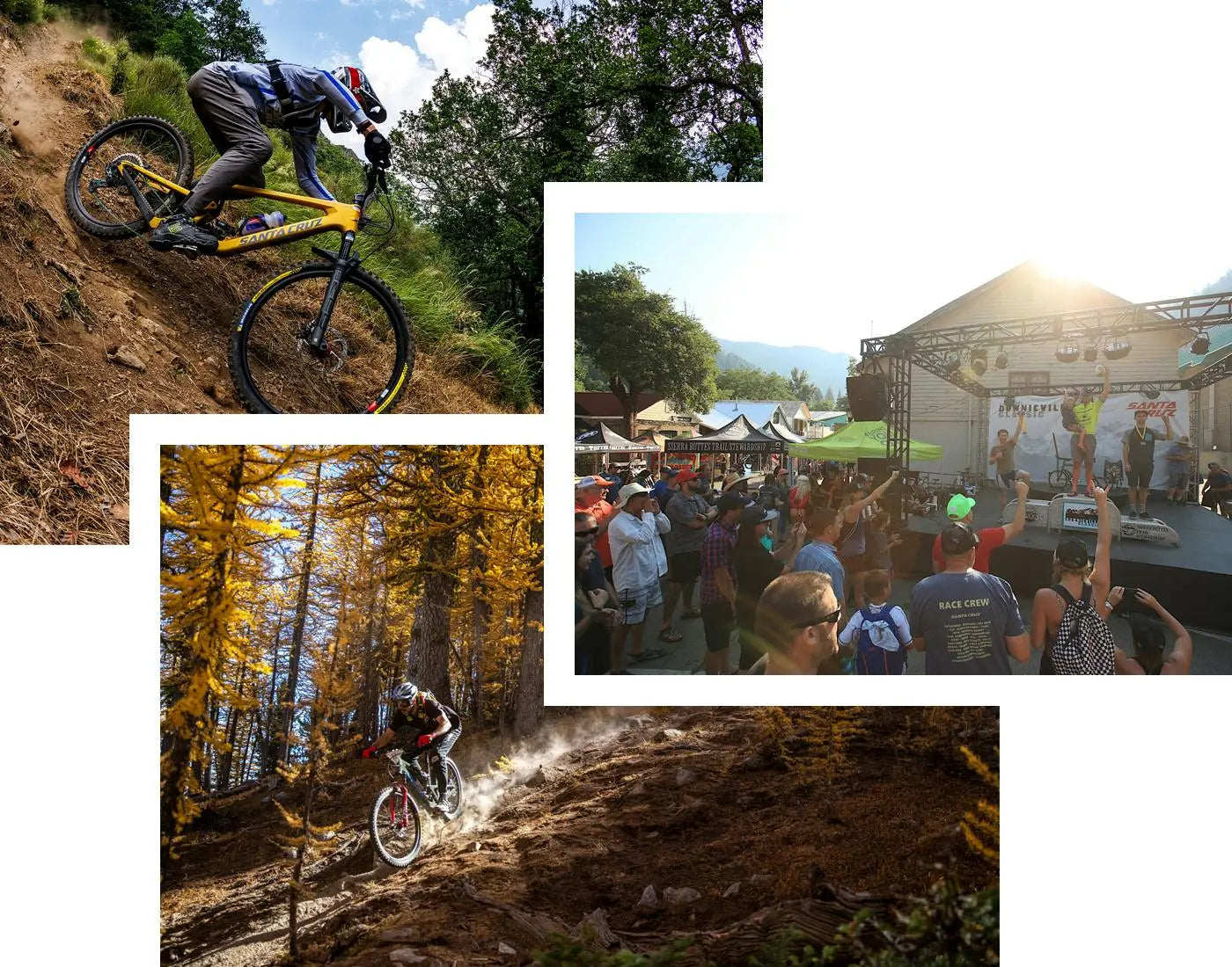 Santa Cruz Events