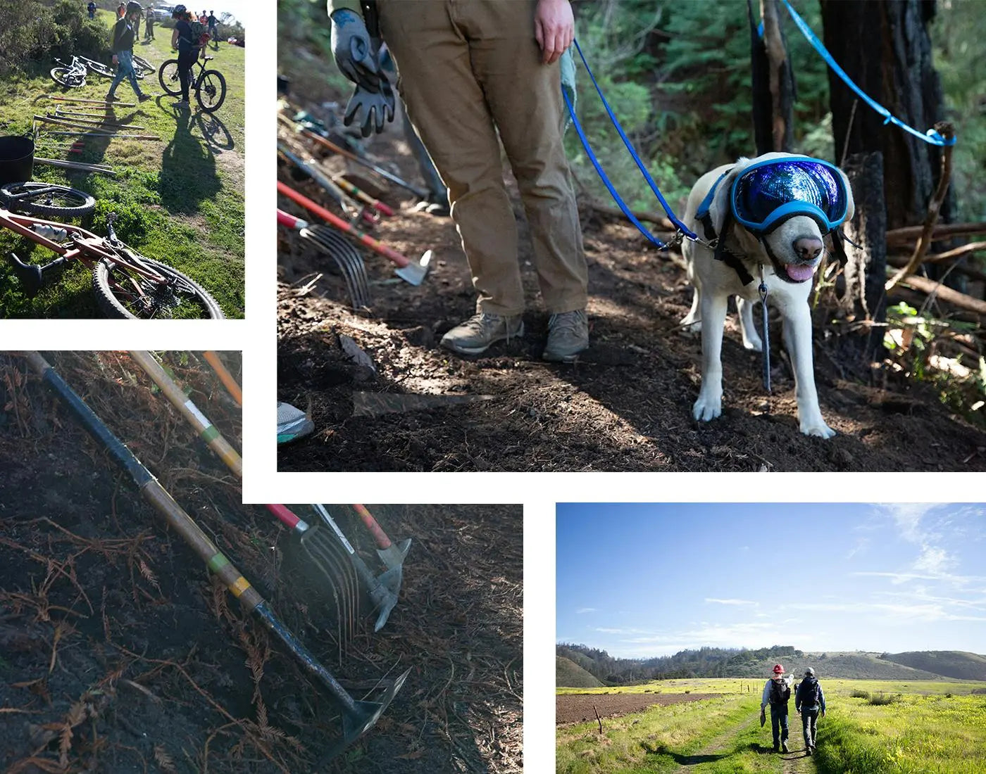 Santa Cruz Trail Building