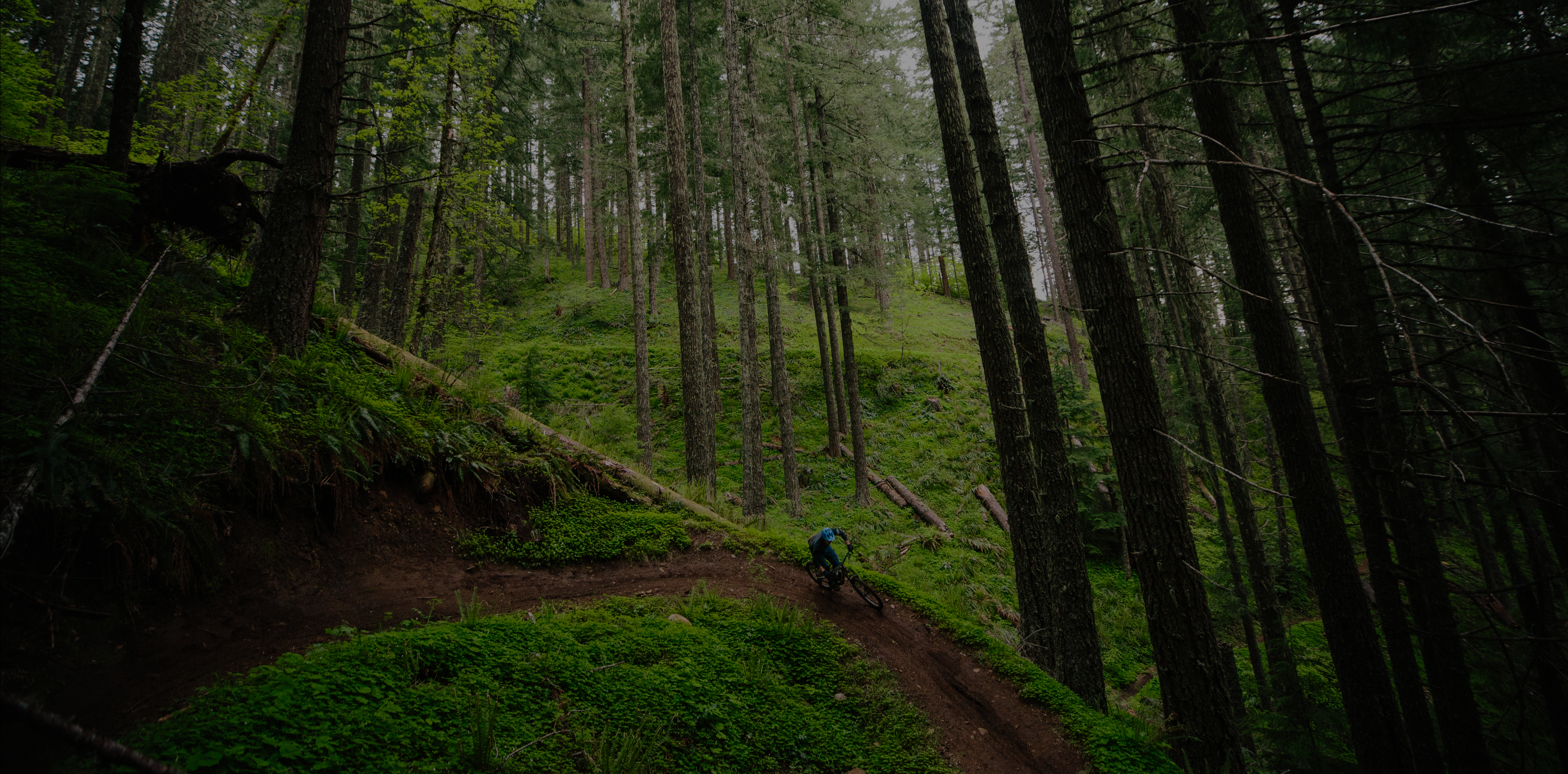 Trail Desktop