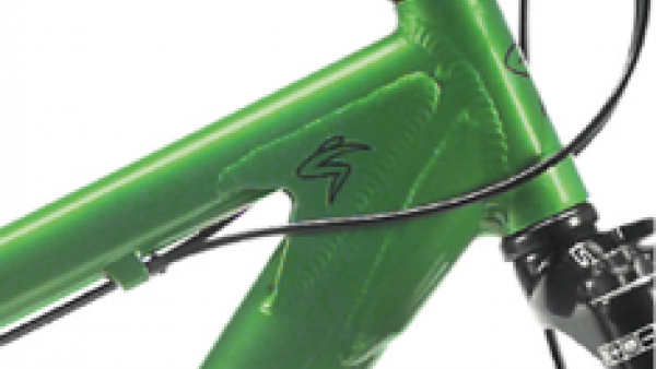 Design details of Chameleon Detail