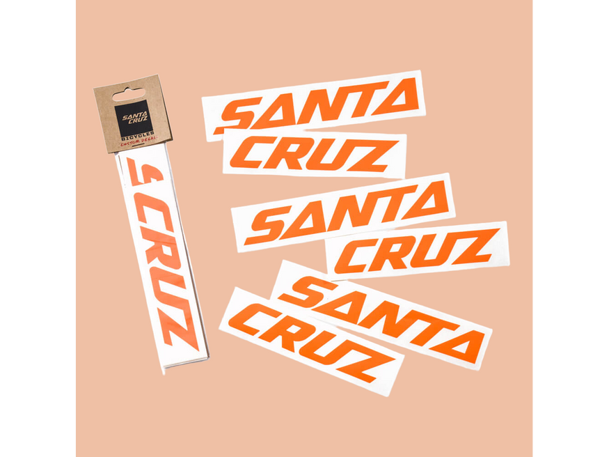 Santa Cruz Custom Downtube Decal